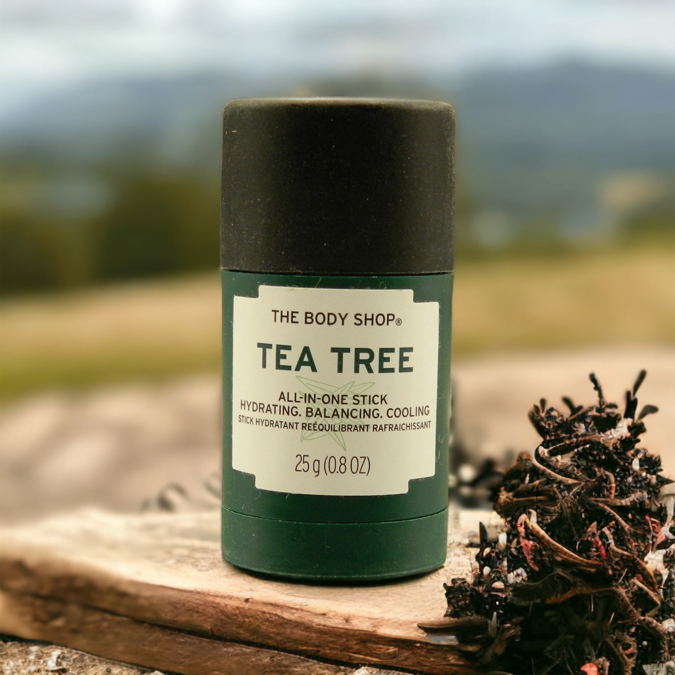 The Body Shop TEA TREE Tea Tree All-In-One Stick 25g